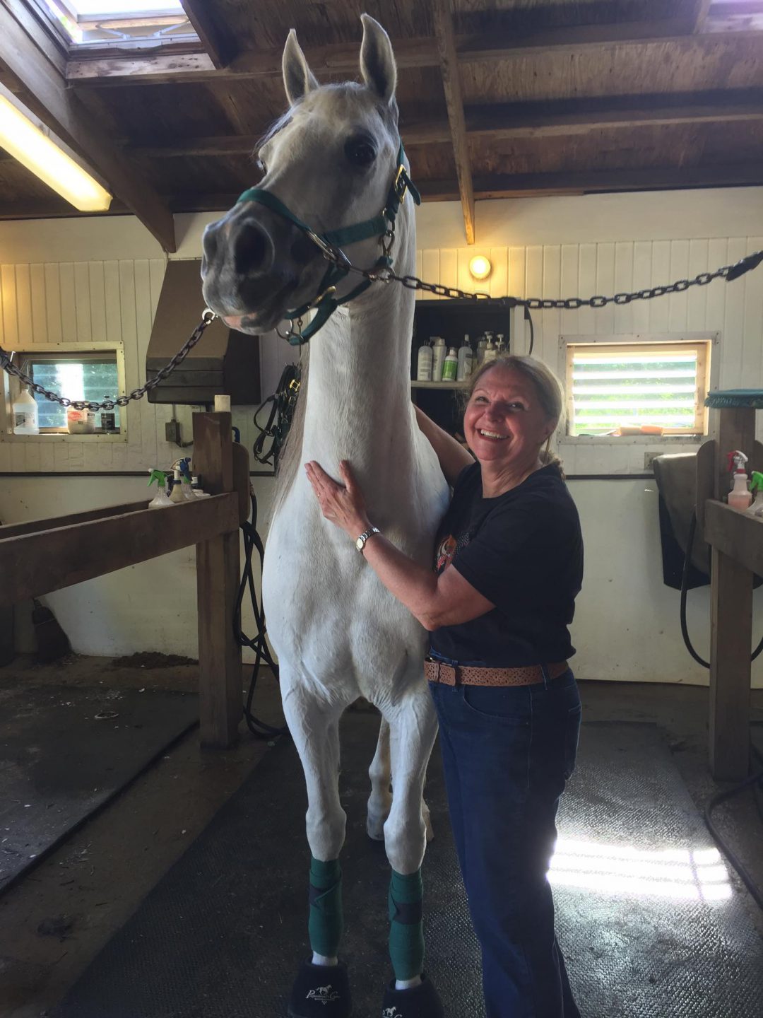 Contact Us Trowbridges LTD