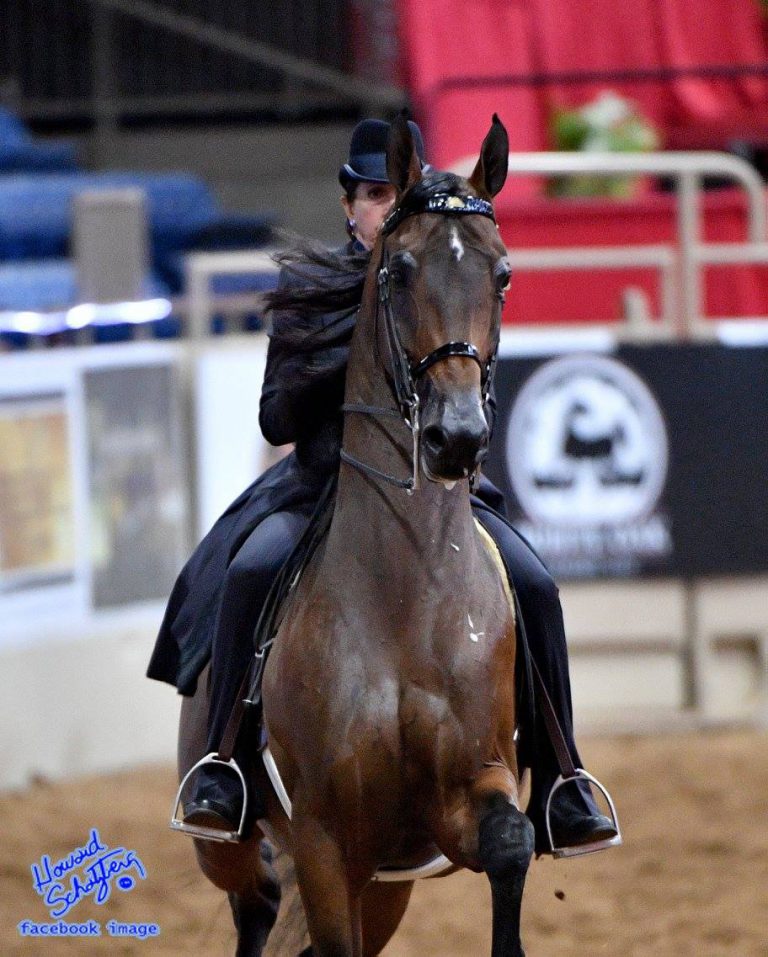 Trowbridges LTD Horse trainer in Bridgewater, Connecticut