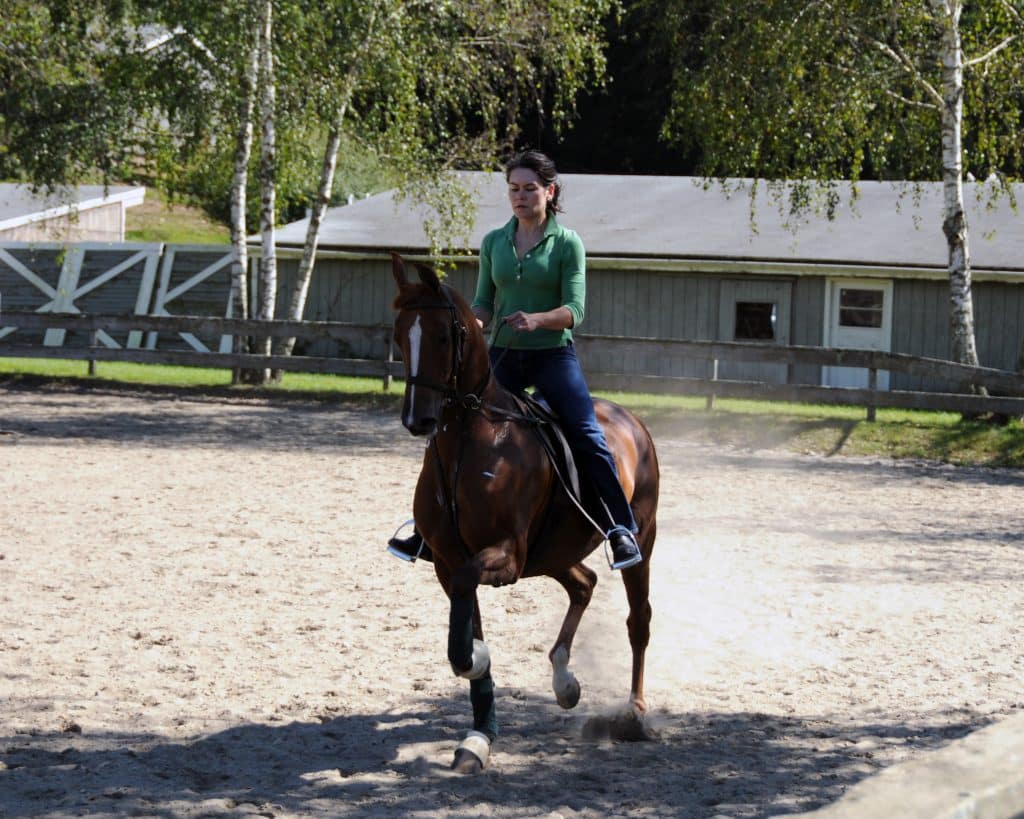 About Us Trowbridges LTD